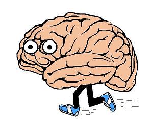simple cartoon brain